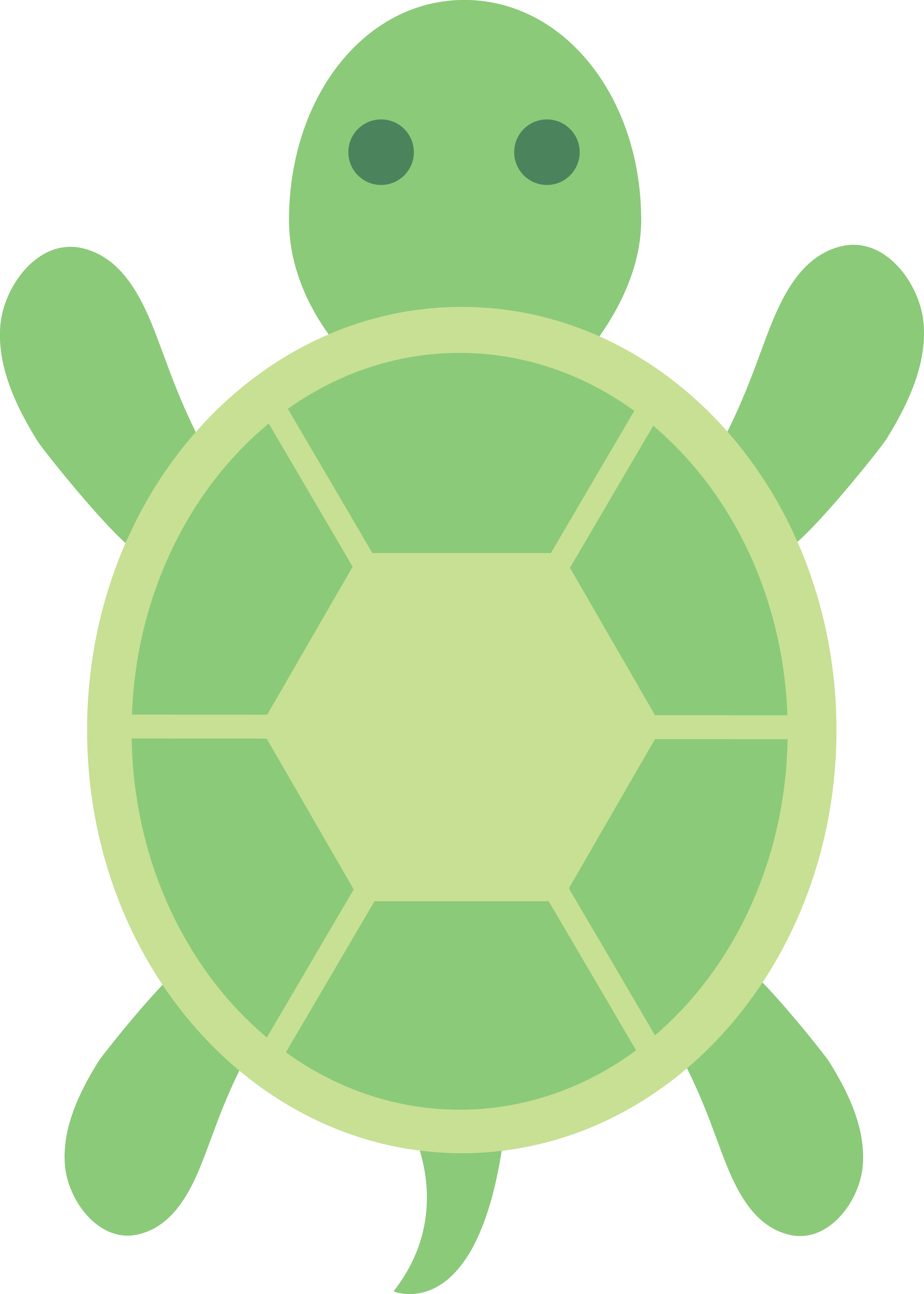 Picture Of A Cartoon Turtle 