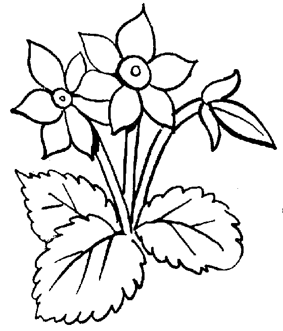 free clipart. line drawings of flowers - photo #17