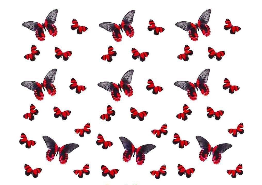 Butterflies on white background free desktop background - free 