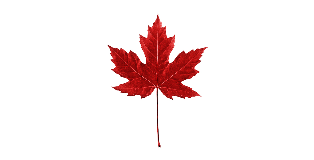 Maple Leaf Graphics
