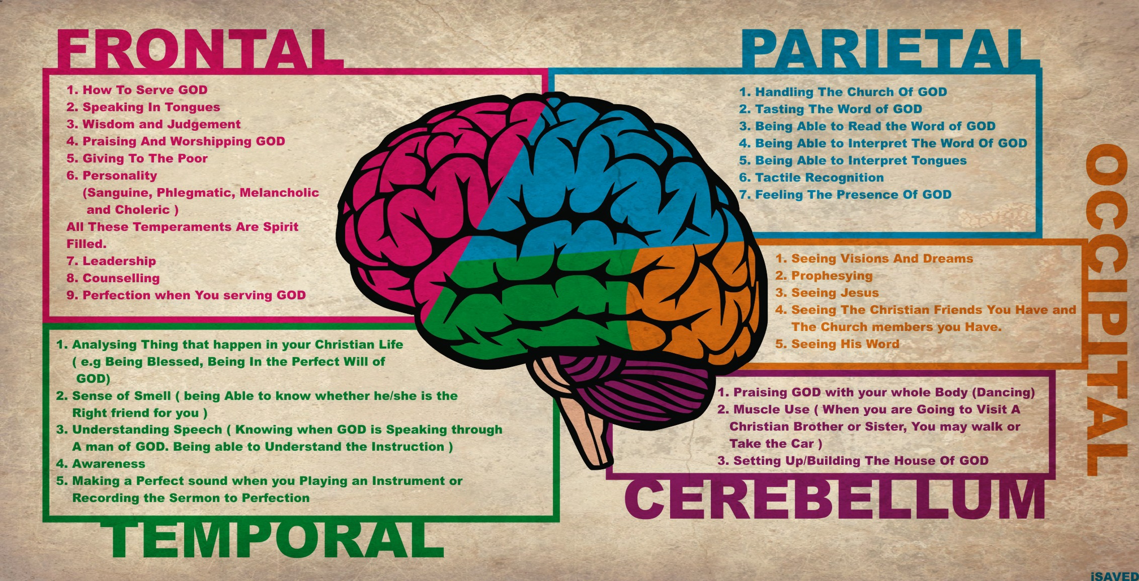 4 parts of the brain psychology - Clip Art Library