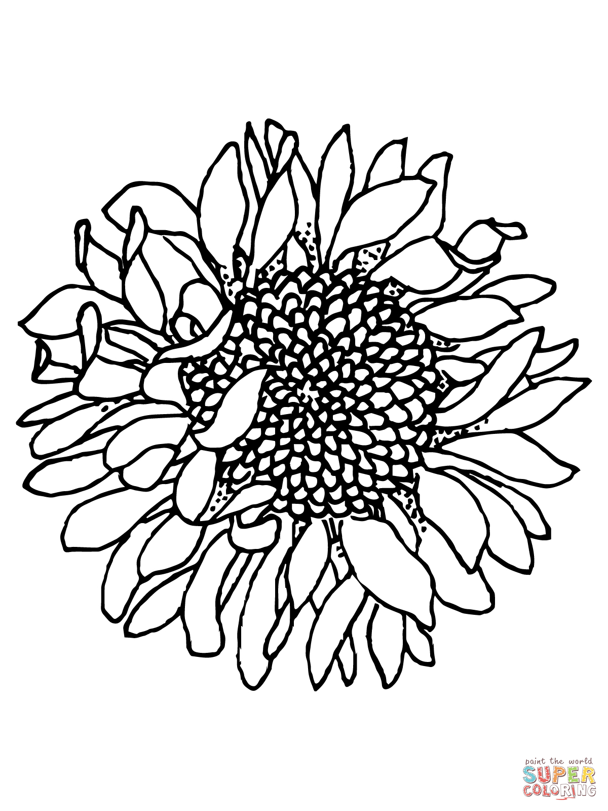 Free Sunflower Coloring Page, Download Free Sunflower Coloring Page png