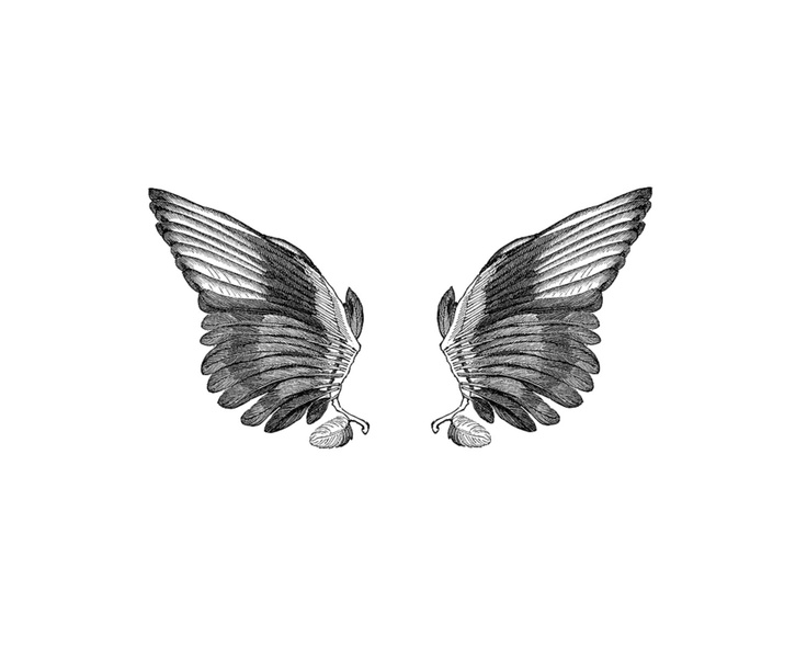 Wings black and white vintage angel bird temporary tattoo