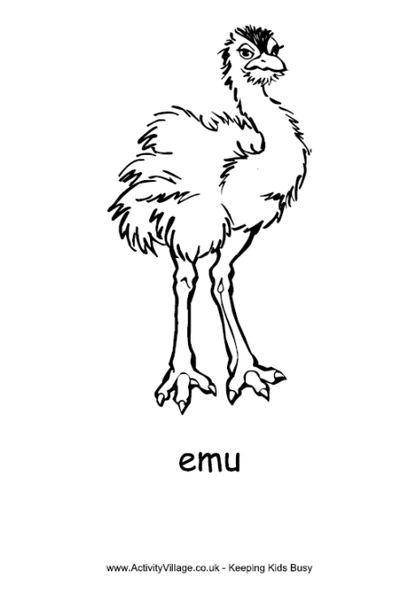 simple outline emu coloring page | Zoo scrap pages | Clipart library
