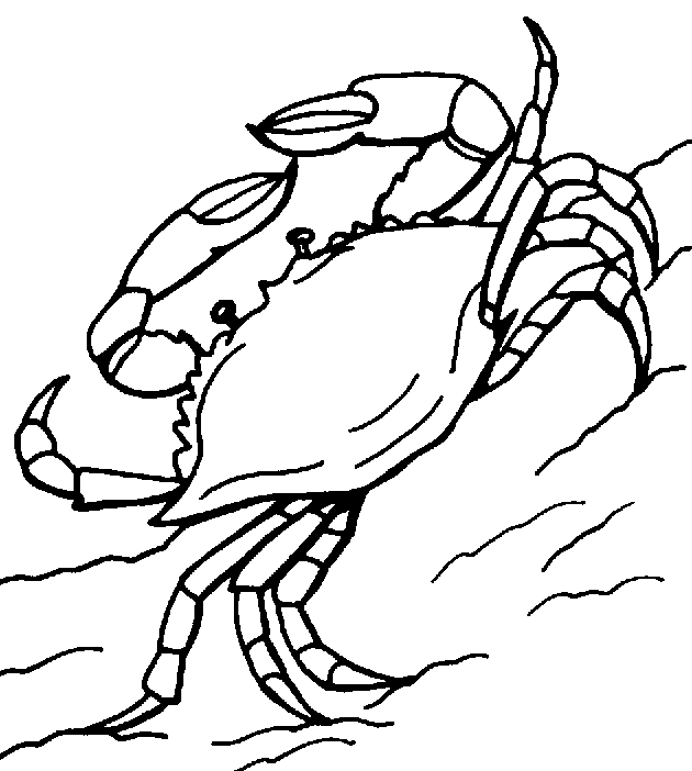Crab Clipart - Clipart library