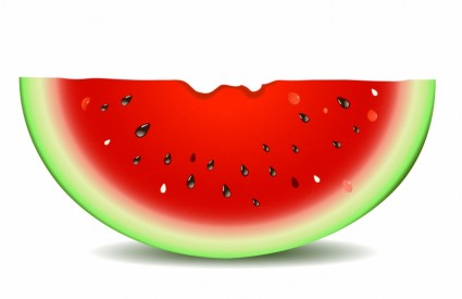 Watermelon Vector misc - Free vector for free download