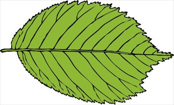 Free Leaves Clipart - Free Clipart Graphics, Images and Photos 