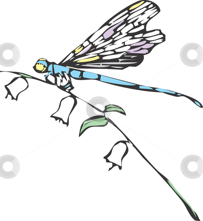 Dragonfly stock vector