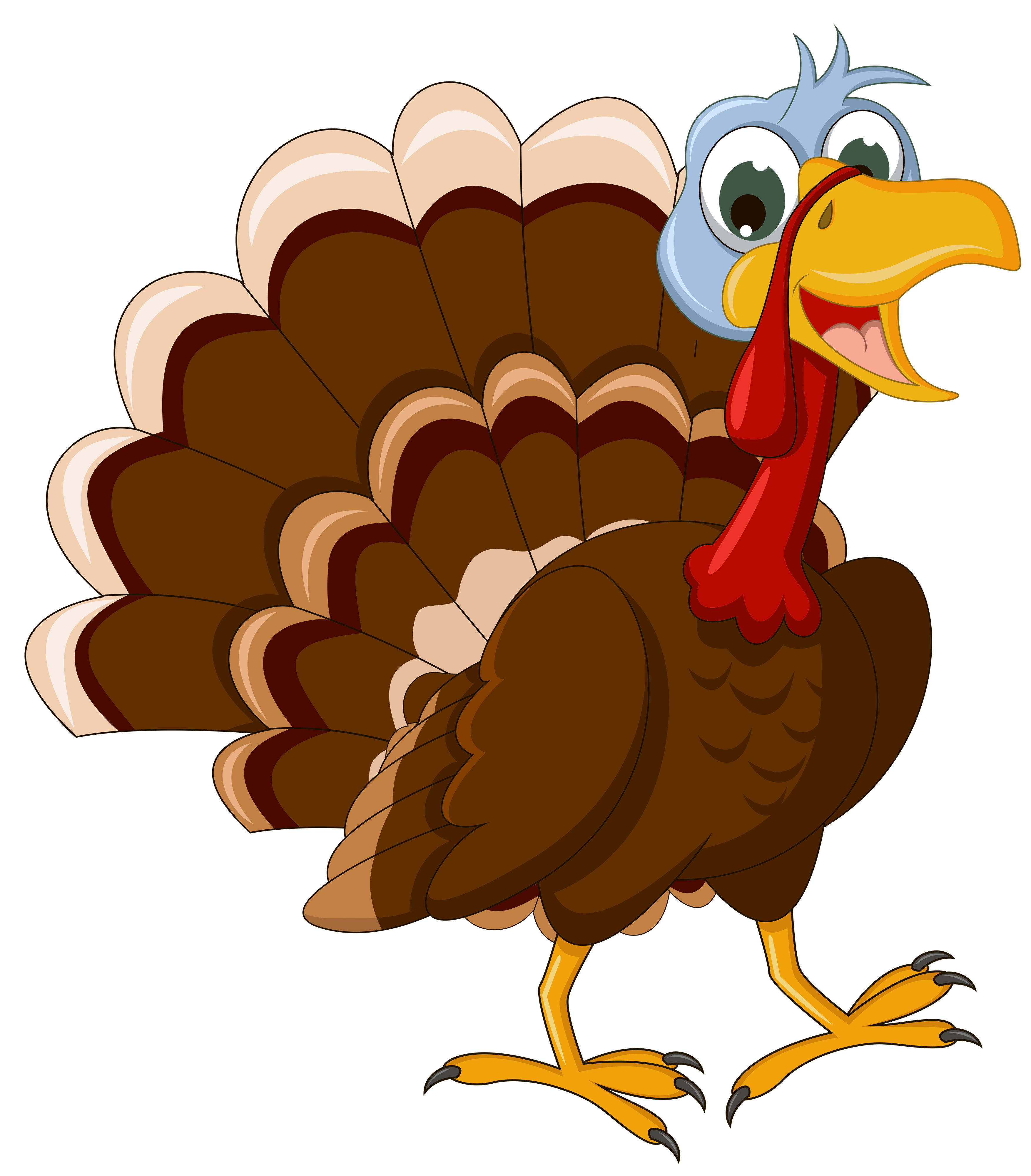 Transparent Thanksgiving Turkey Picture