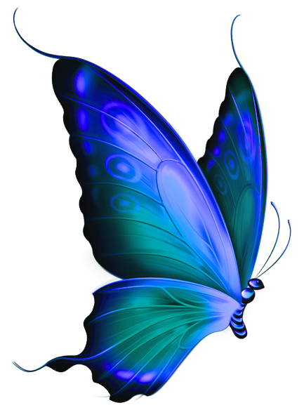 Pics Of Butterflys