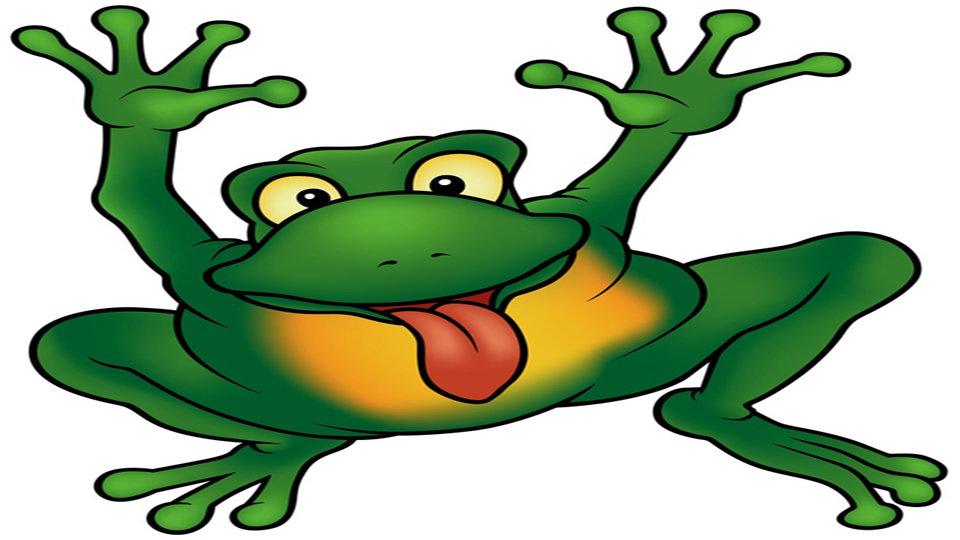Frog Pictures - www.