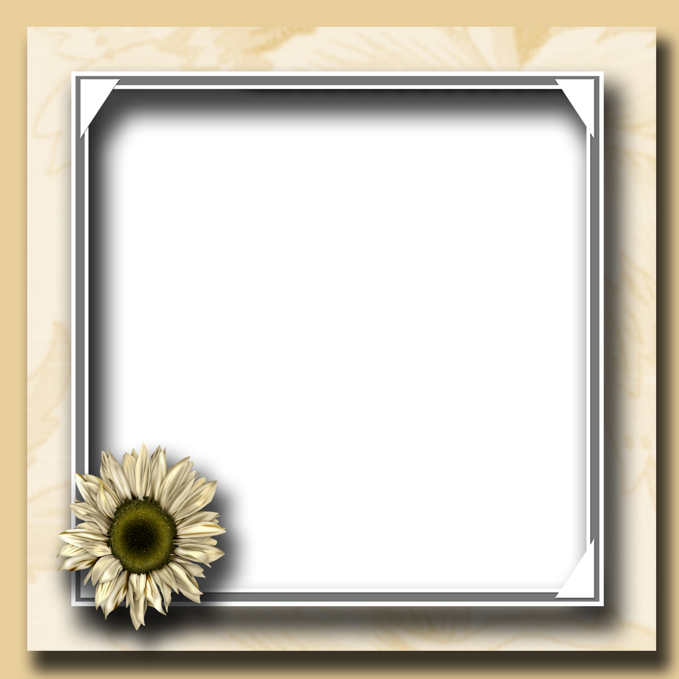 Free Abstract Floral Frame Png, Download Free Abstract Floral Frame Png
