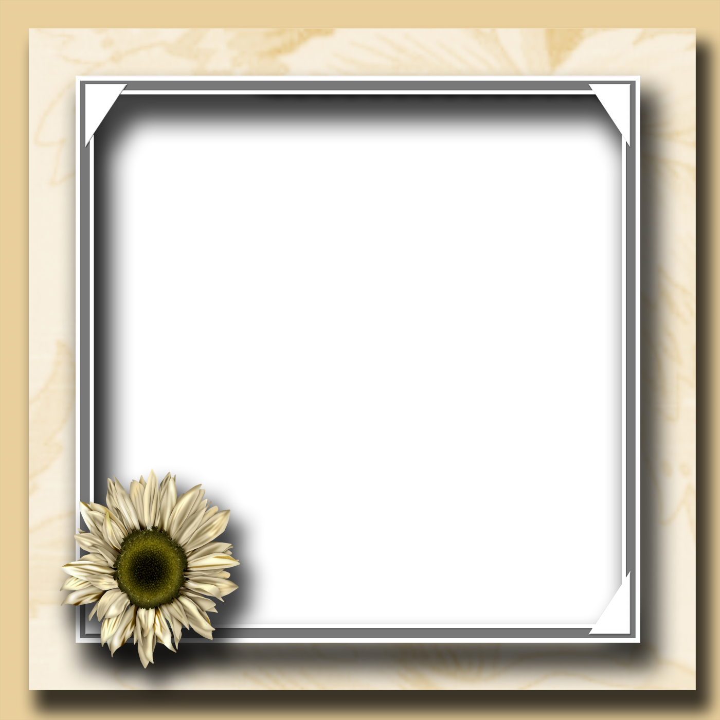 Free Picture Frame Png Transparent Download Free Clip Art Free Clip Art On Clipart Library