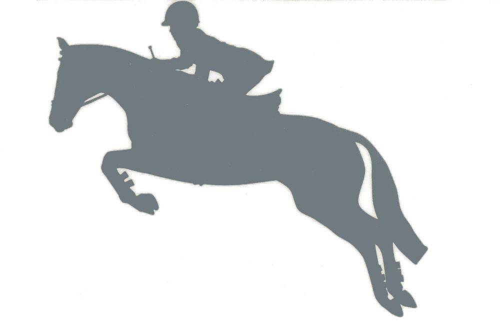 SM Silver Hunter Jumper Decal Jumping Horse Equine English 