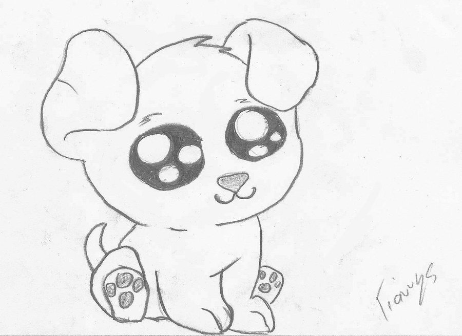 cute puppy sketch