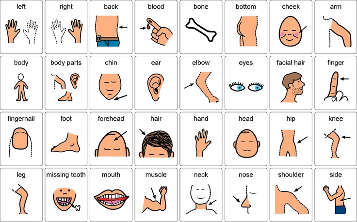 body parts name in english for kids