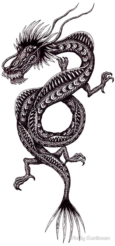Chinese Dragon black and white pen ink drawing by Vitaliy 