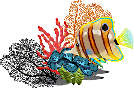 Free Fish Clipart, Tropical Fish, Star Fish, Cartoon Fish Clip Art 