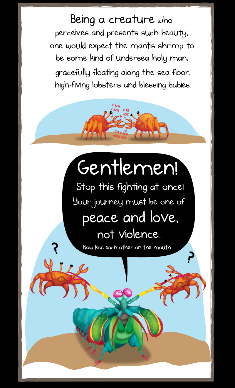 Why the mantis shrimp is my new favorite animal - The Oatmeal