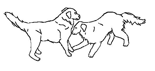 two dogs outline by Taunty on Clipart library