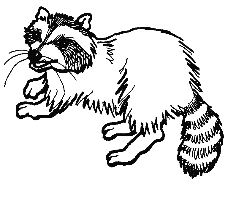 raccoon mario coloring pages - photo #36