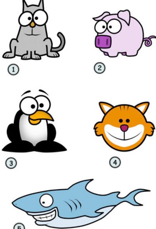 Cartoon Animals To Draw Step By Step - Gallery