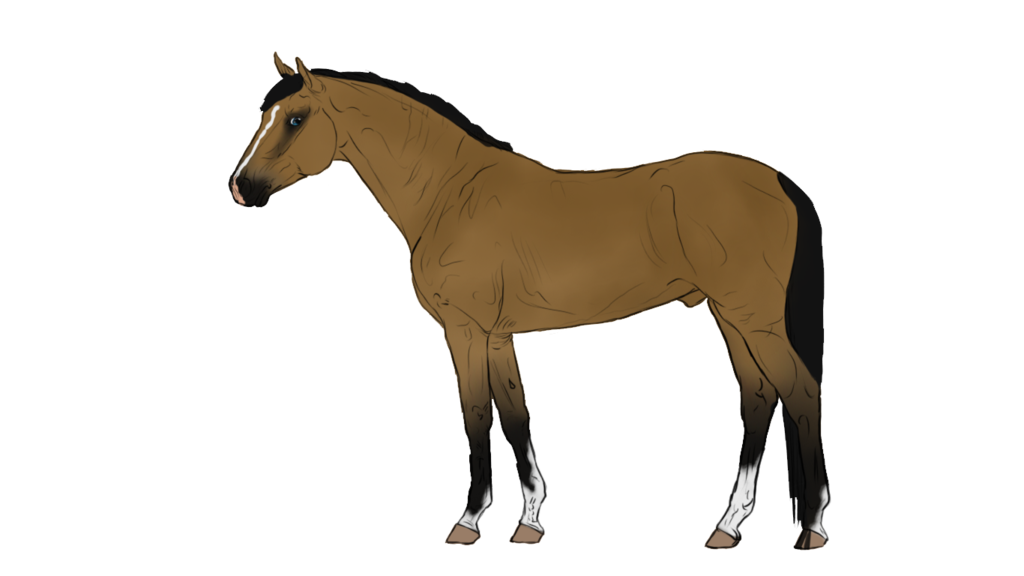 Clipart library: More Like 5 point horse adopt 4| SOLD! by CheapHorseAdopts