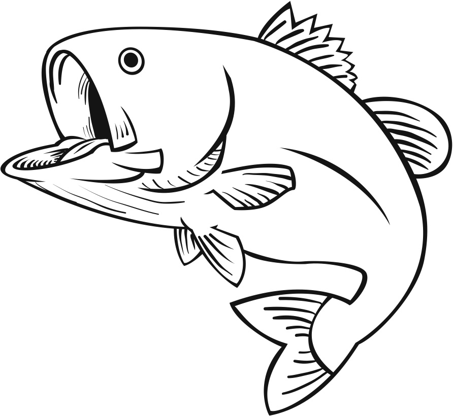 Bass Fish Jumping Drawing - Gallery