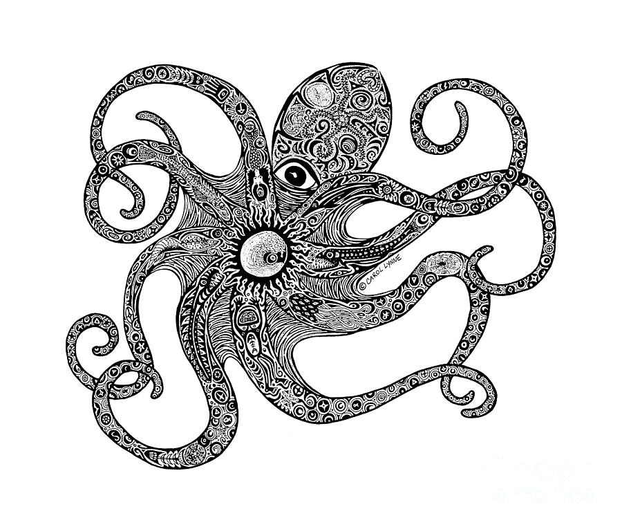 Octopus Drawing Black And White Images  Pictures - Becuo
