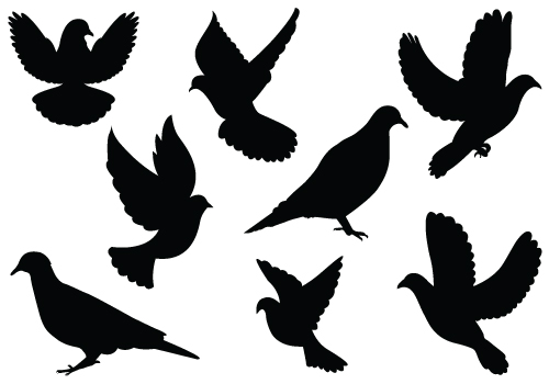 flying doves vector