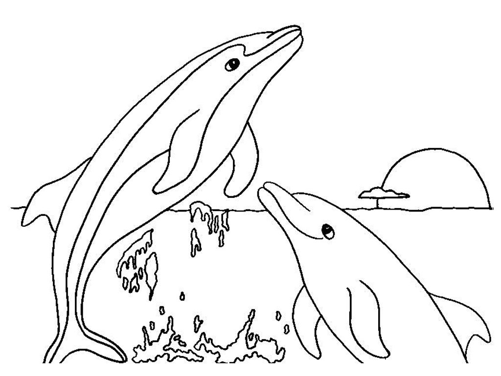 dolphin coloring pages to print out Printable Coloring Sheet