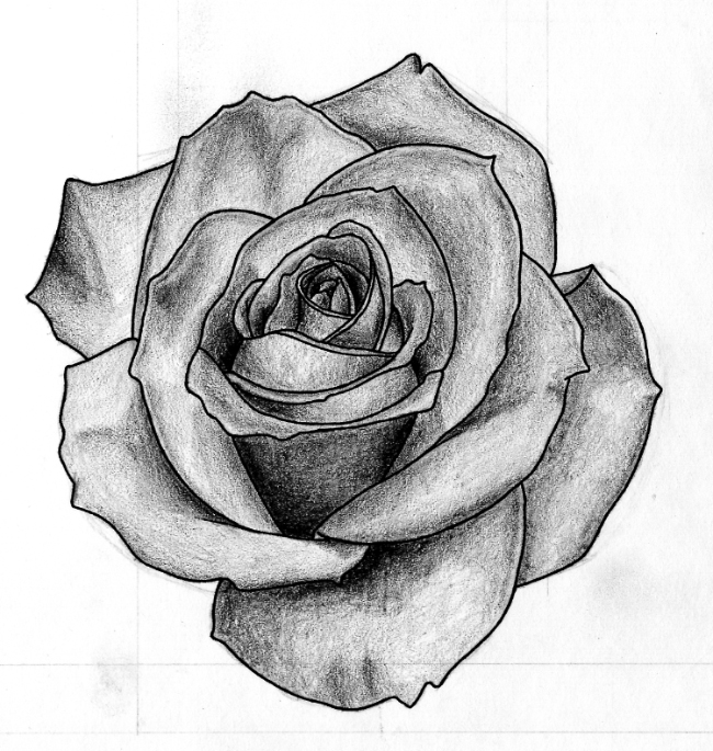 Free Rose Black And White Drawing, Download Free Rose Black And White
