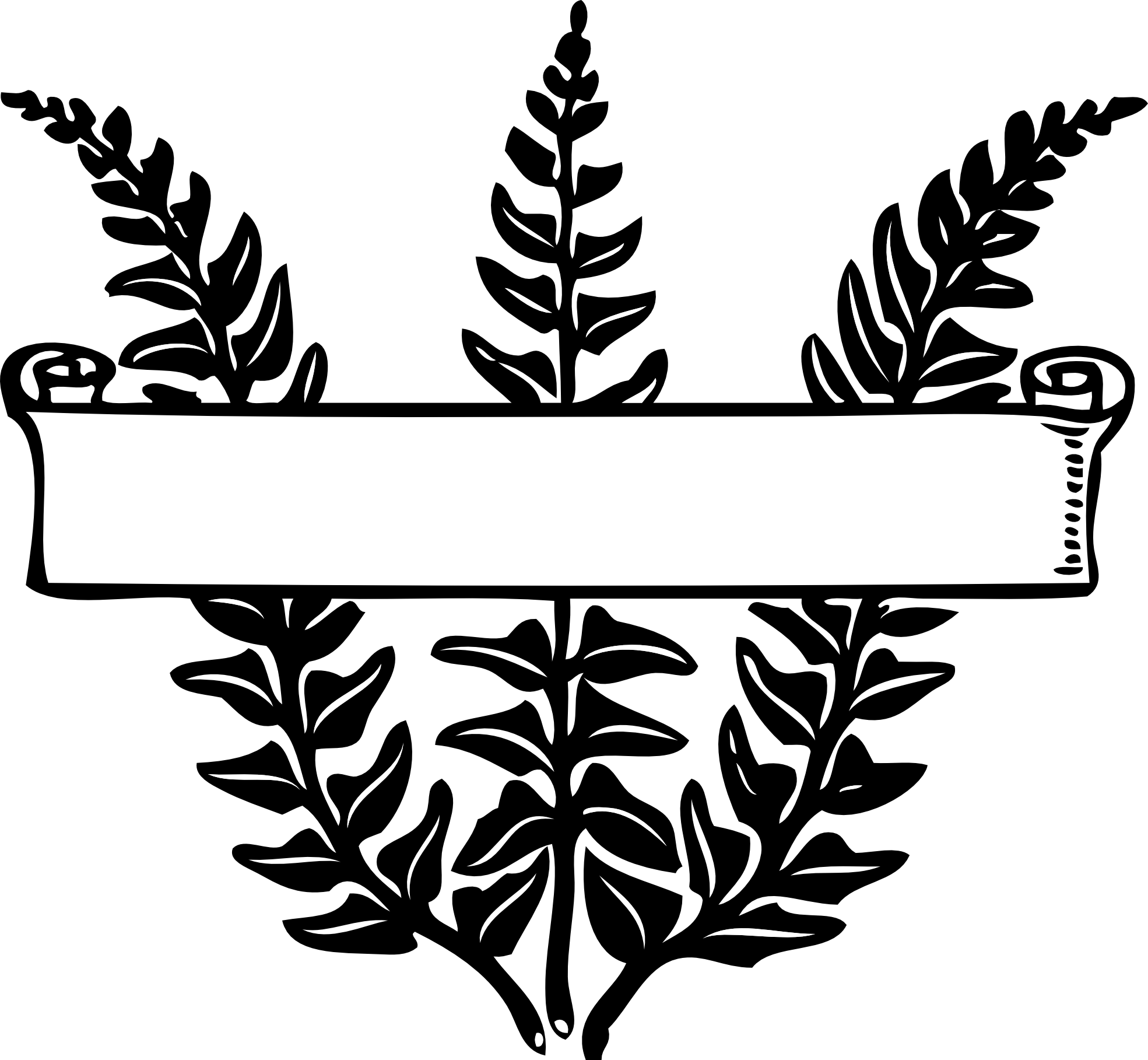 scroll over ferns black white line art coloring  - Clipart library 