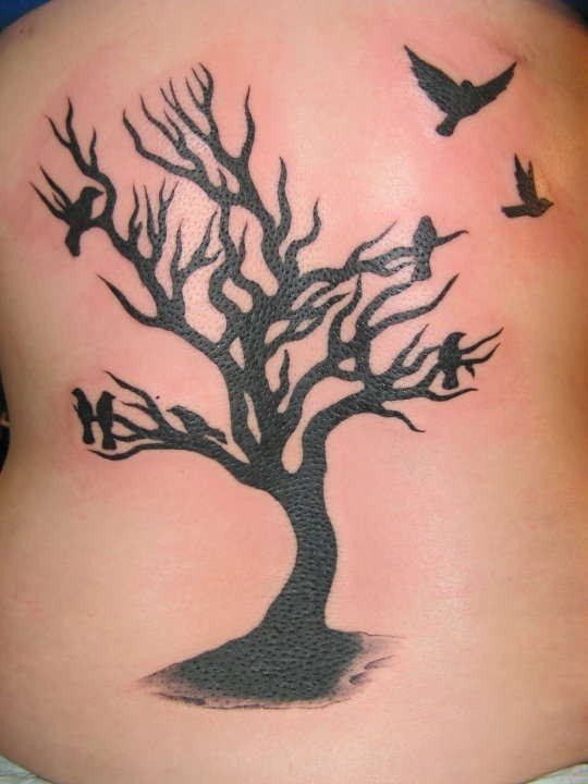 Black ink tree and birds tattoo on back 
