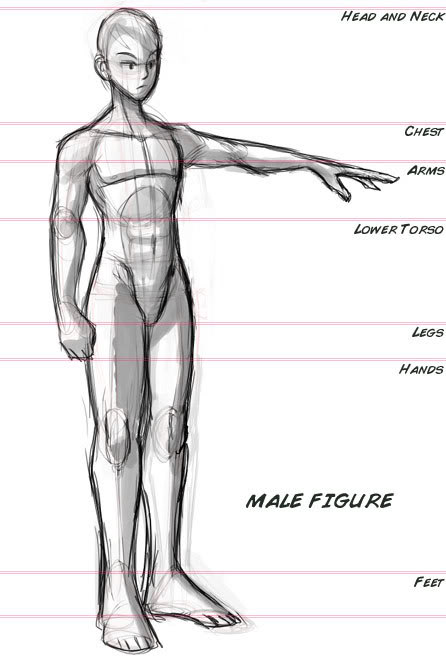 Body Template For Drawing from clipart-library.com