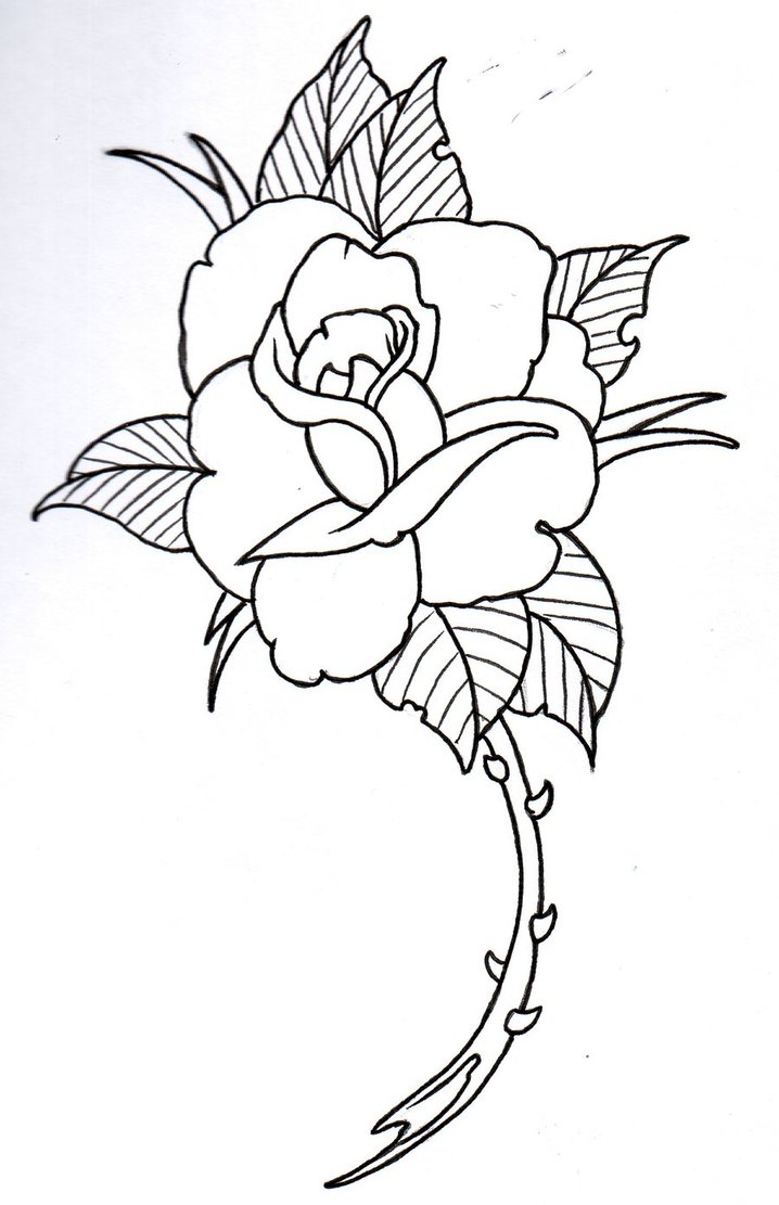 rose drawing outline 