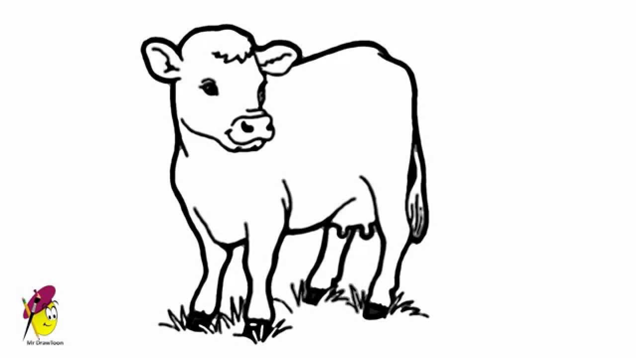 Cow - Easy Drawing - How to draw a Cow - YouTube
