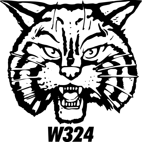 stock wildcats mascot gallery