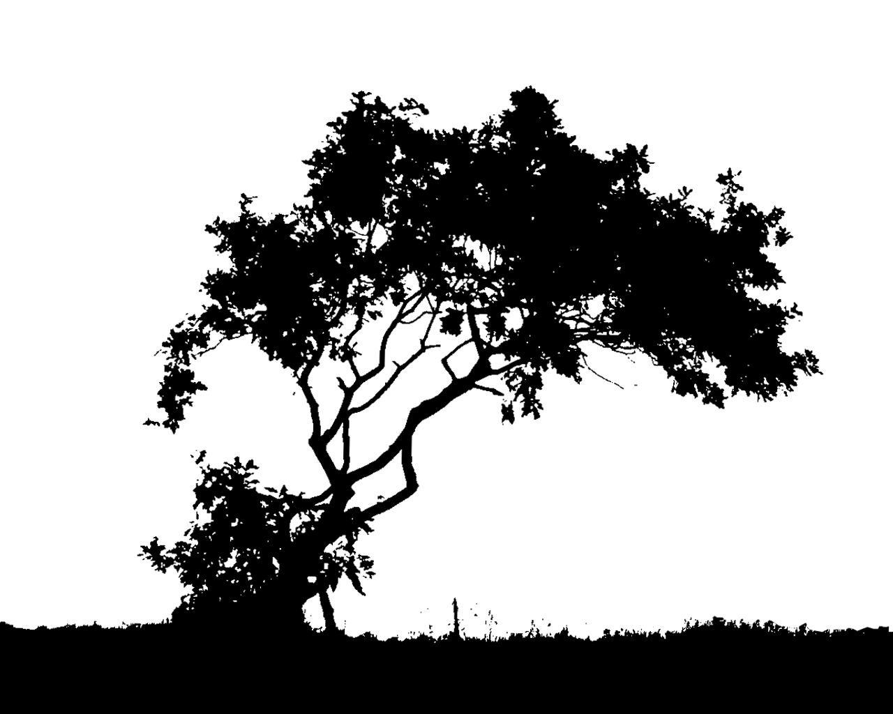 forest Silhouette | Wallpaper Trees Black And White | Printables 