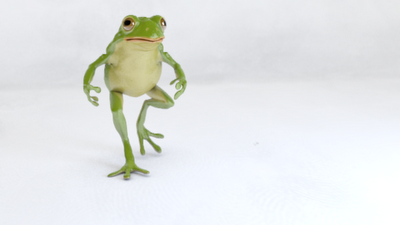 loran: Blender Frog animation