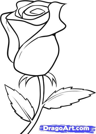 zedulot: black and white flowers drawings
