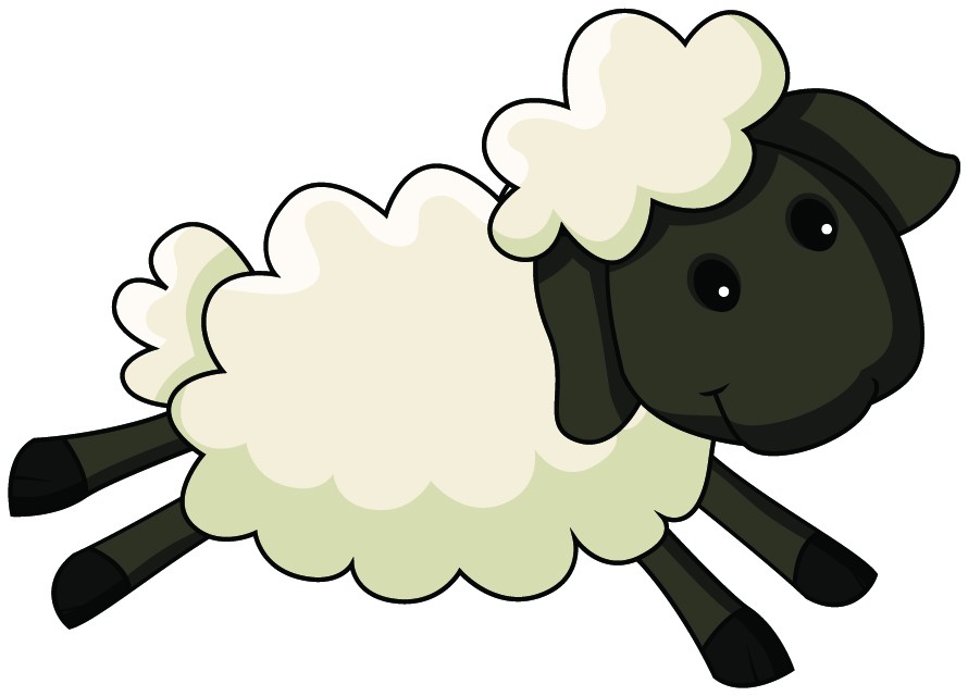 Cartoon Sheep 