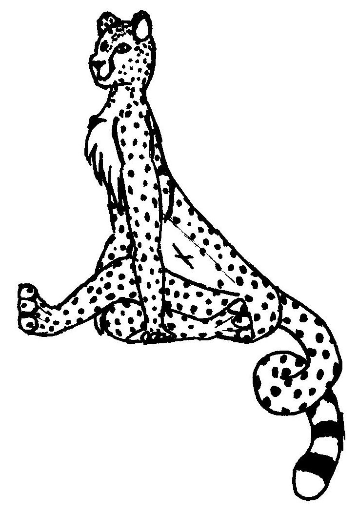 Posing Cheetah by mattyhex on Clipart library