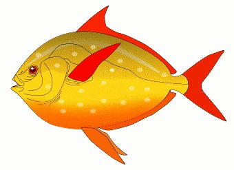 Free Fish Clipart - Free Clipart Graphics, Images and Photos 