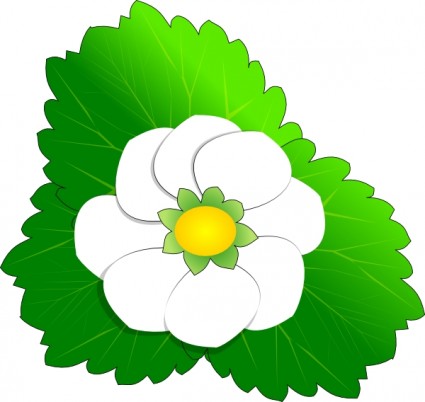 White flower clip art Free vector for free download (about 146 files).
