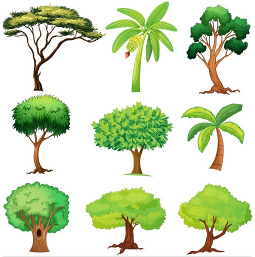 Trees vector graphic Plant vector free download