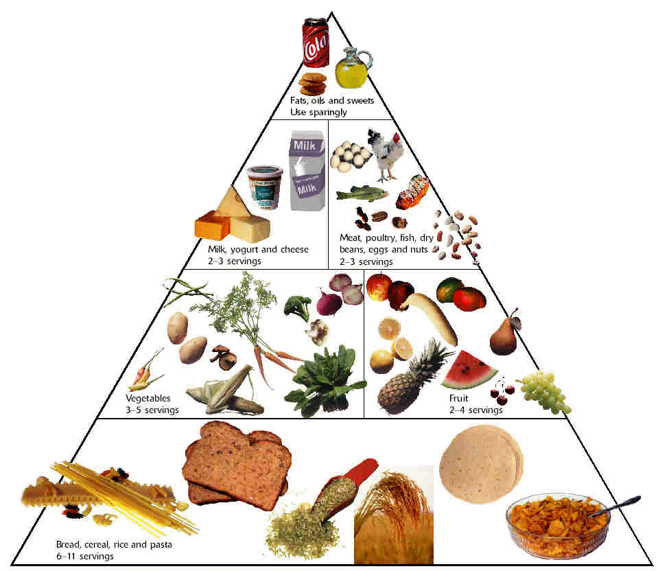 Buen Sharing: Cartoon Food Pyramid