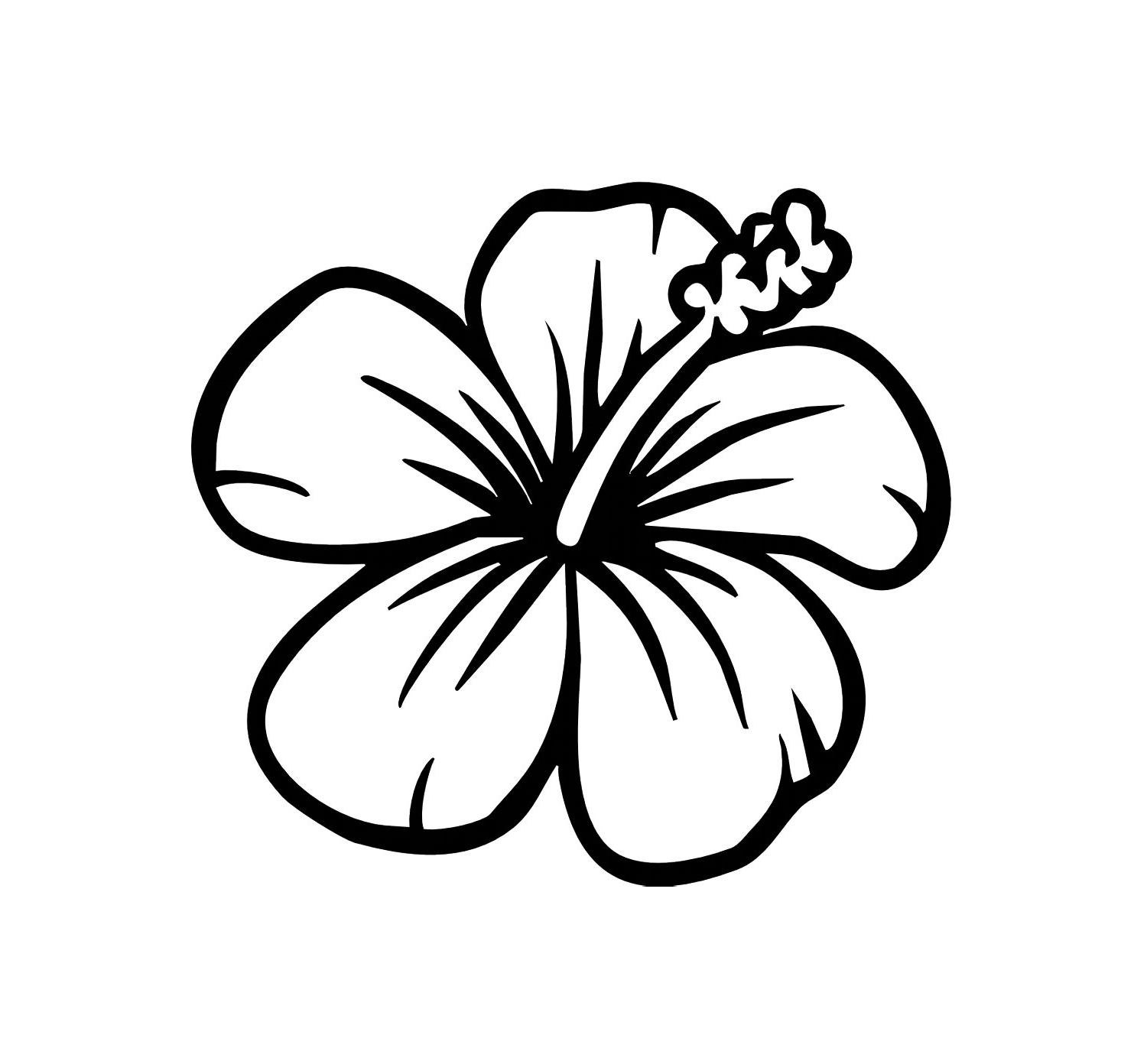 hawaiian flower coloring page Clip Art Library