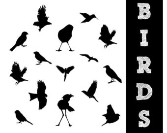 Popular items for bird silhouette 