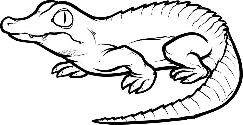 cartoon crocodile Colouring Pages (page 2)